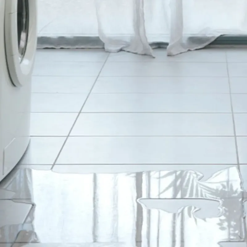 Appliance Leak Cleanup in Sylvester, GA