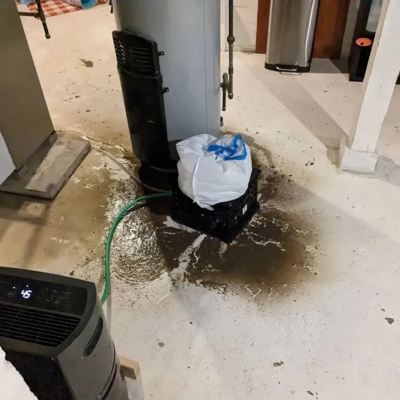 Sewage Backup Cleanup Service in Sylvester, GA